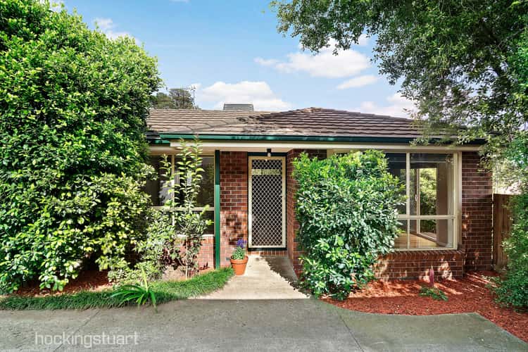 Main view of Homely house listing, 3/10 Albert Road, Lilydale VIC 3140