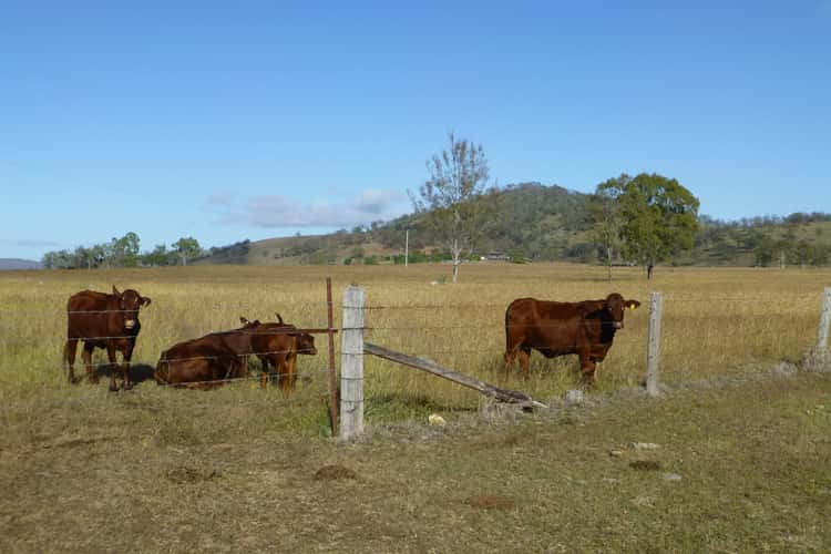 Second view of Homely livestock listing, LOT 82 & 1 MT HASTINGS CREEK ROAD, Biggenden QLD 4621