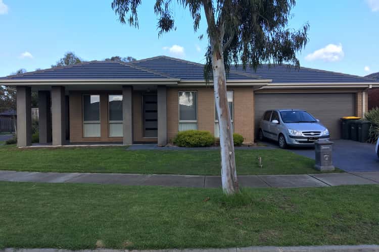 Main view of Homely house listing, 7 Tooradin Crescent, Doreen VIC 3754