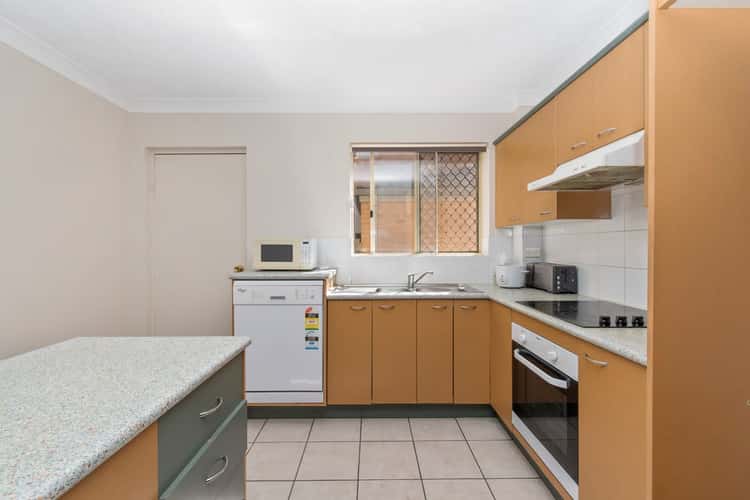 Third view of Homely unit listing, 1, LOT 1, 101 Alderley Avenue, Alderley QLD 4051
