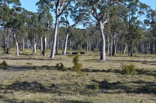 543 Nugra Lane, The Branch NSW 2425