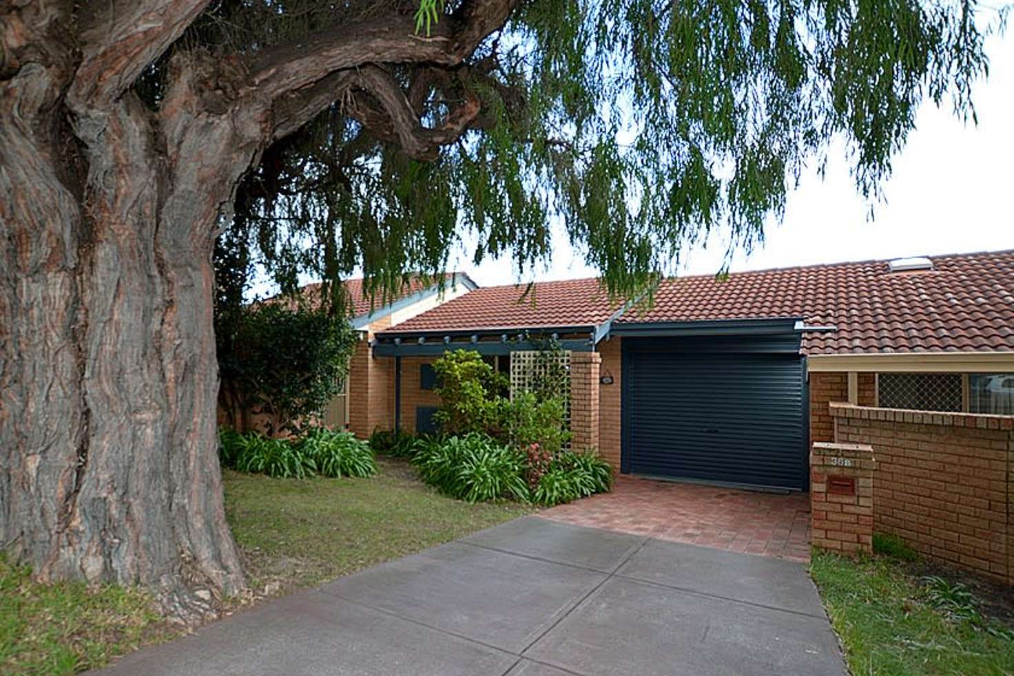 Main view of Homely semiDetached listing, 36B Harris Street, Bicton WA 6157