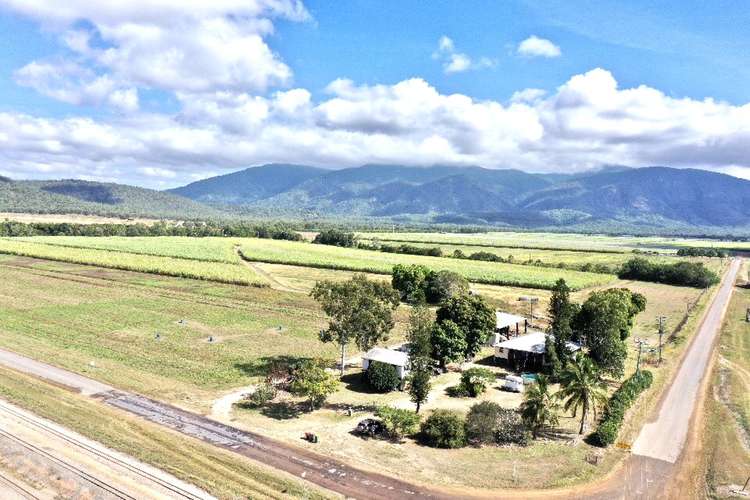 Main view of Homely ruralOther listing, 54 Bahr  Road, Shirbourne QLD 4809