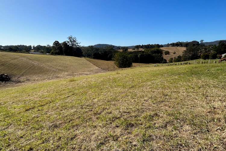 Lot 4 Wallaby  Park, Congarinni NSW 2447