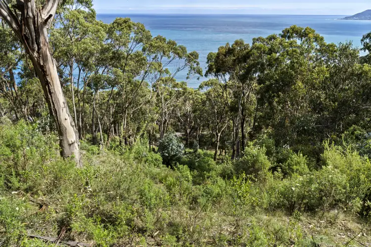 Fourth view of Homely land listing, 1188 Great Ocean Road, Big Hill VIC 3231