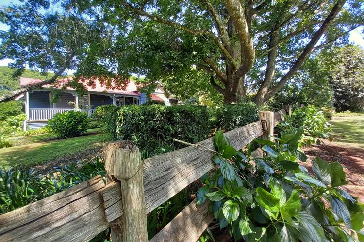 Main view of Homely other listing, 289 Tyringham  Road, Dorrigo NSW 2453