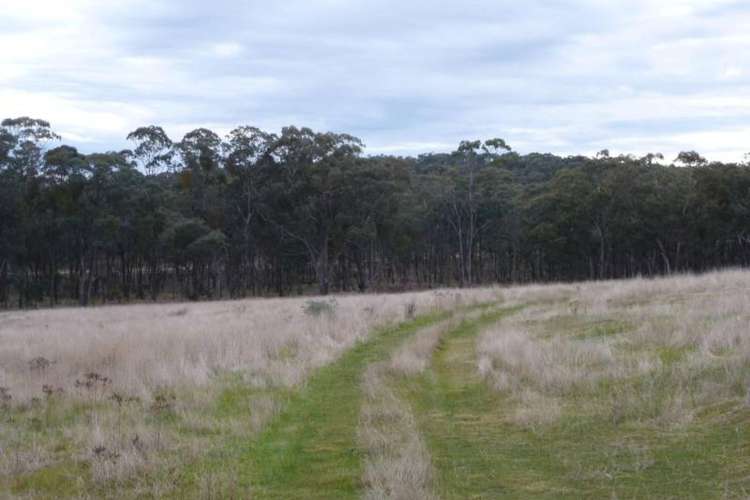 Seventh view of Homely ruralOther listing, 1377 Creswick-Newstead Road, Campbelltown VIC 3364