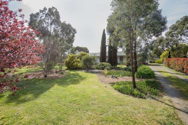 Main view of Homely house listing, 19 Macdonald Street, Clunes VIC 3370