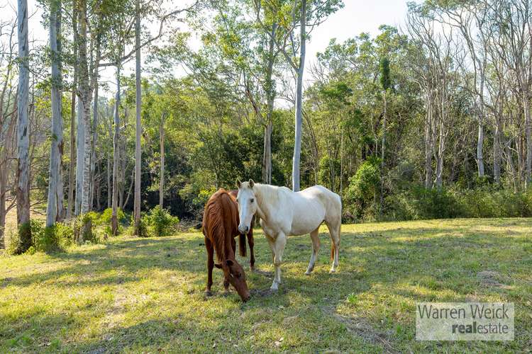 Sixth view of Homely residentialLand listing, Lot 33/36 Jordan  Road, Bellingen NSW 2454