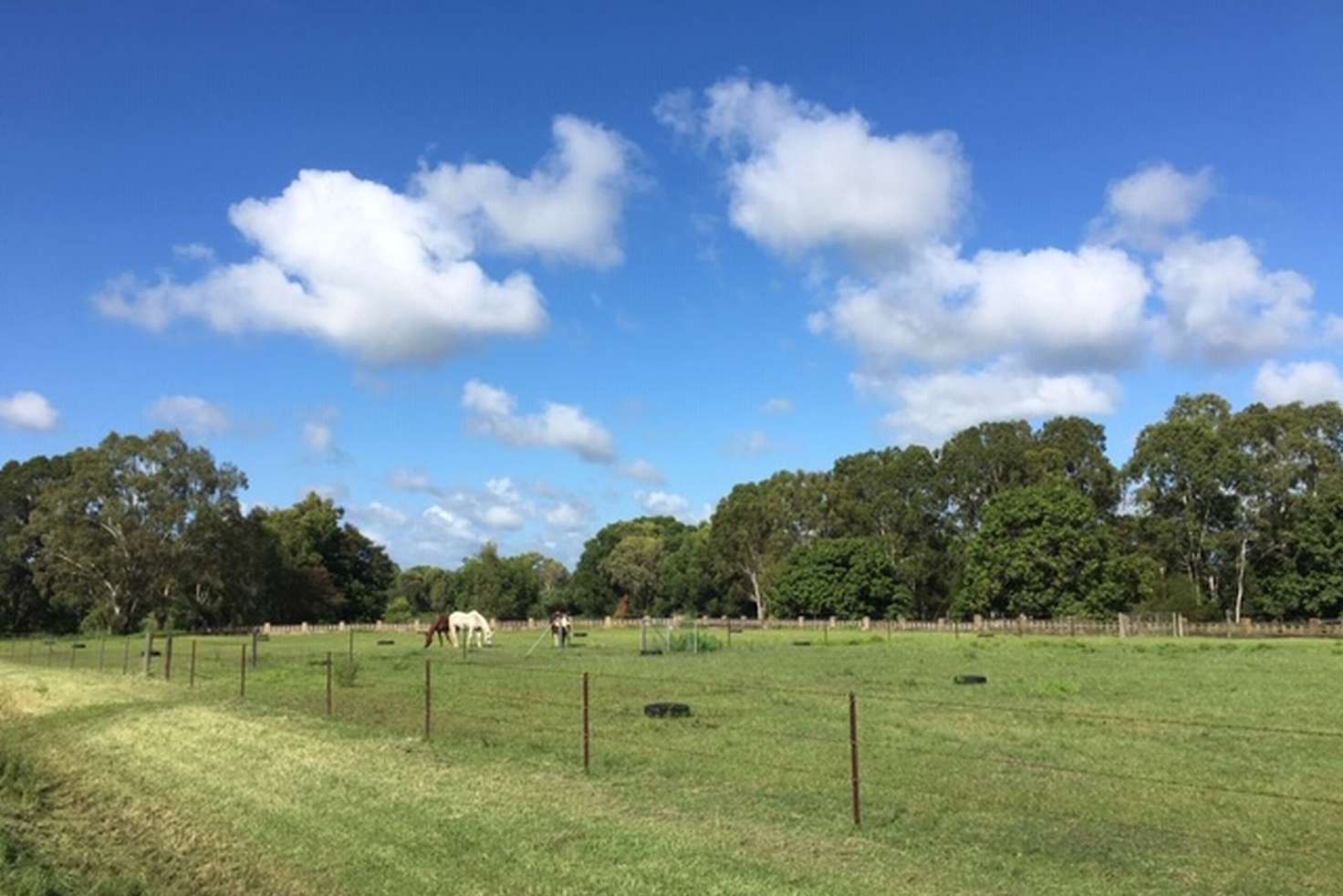 Main view of Homely residentialLand listing, 18 Rutherford Street, Ayr QLD 4807