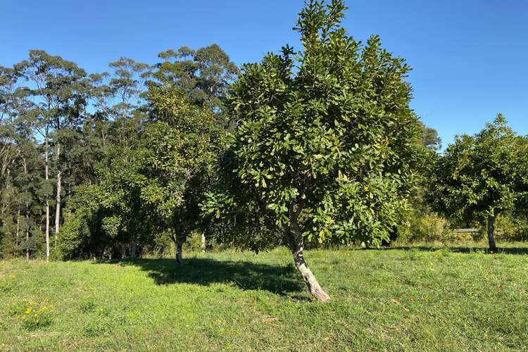 Second view of Homely ruralOther listing, 223 Congarinni Road South, Congarinni NSW 2447