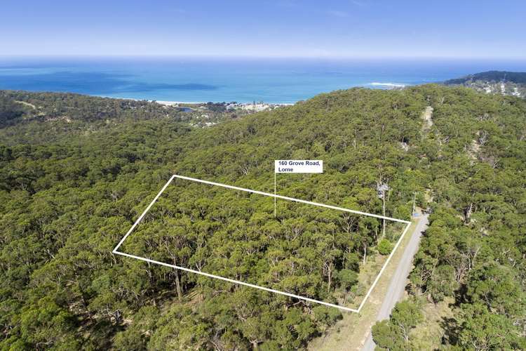 160 Grove Road, Lorne VIC 3232