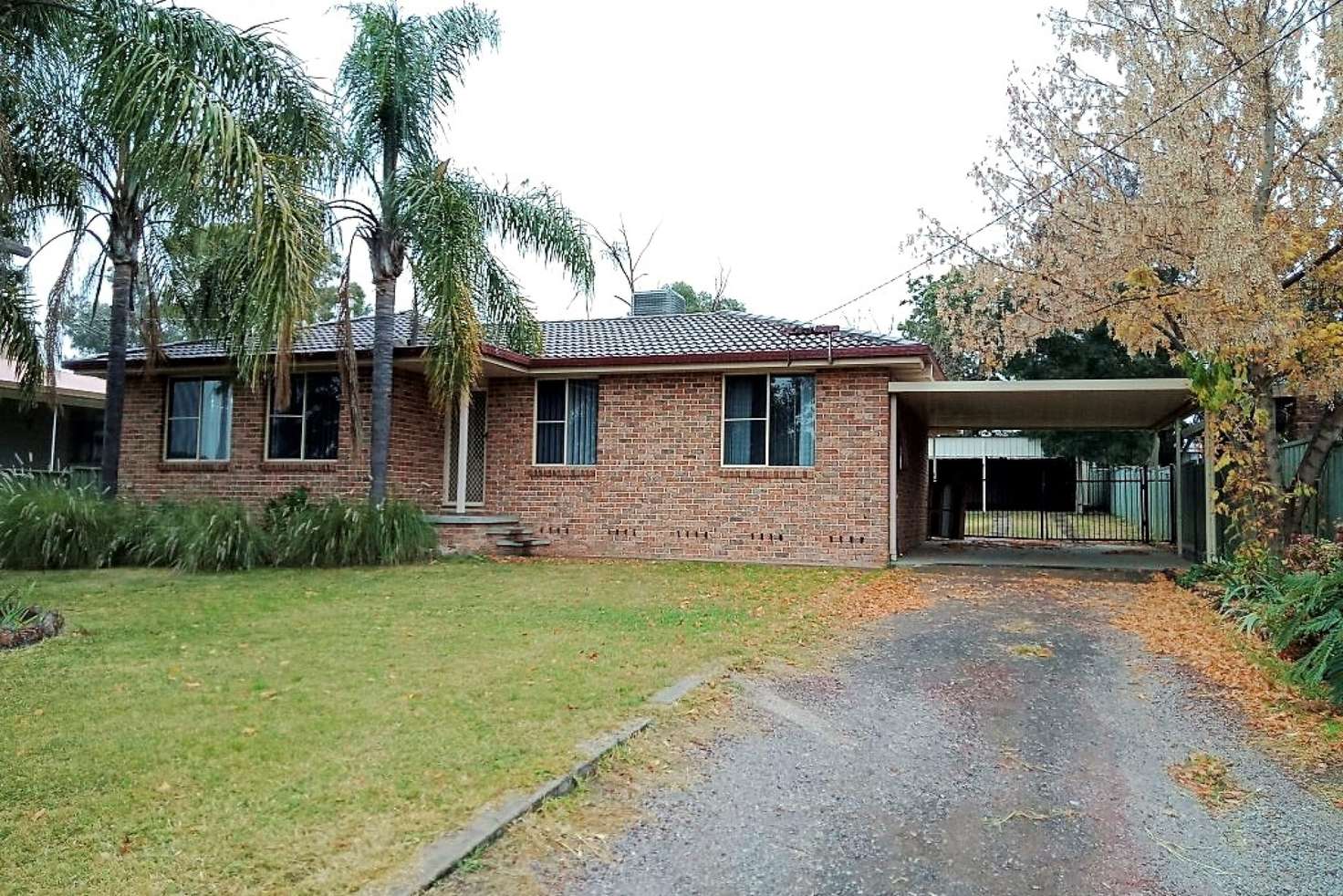 Main view of Homely house listing, 19 Willow Park Drive, Kootingal NSW 2352