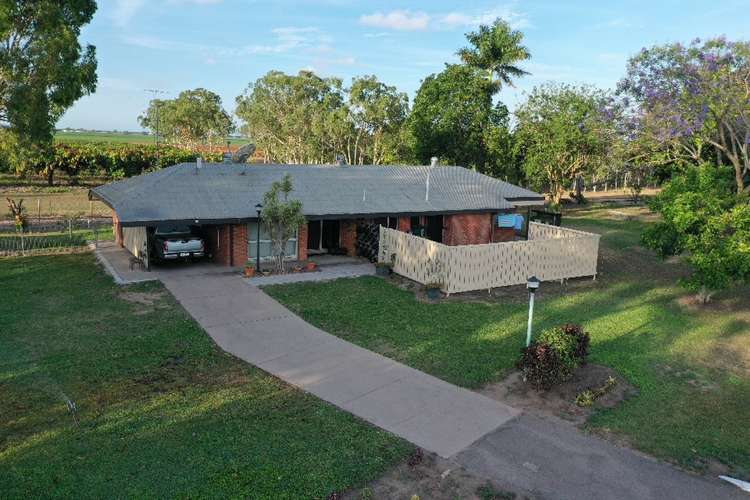 Main view of Homely house listing, 126 Giddy Road, Mcdesme QLD 4807