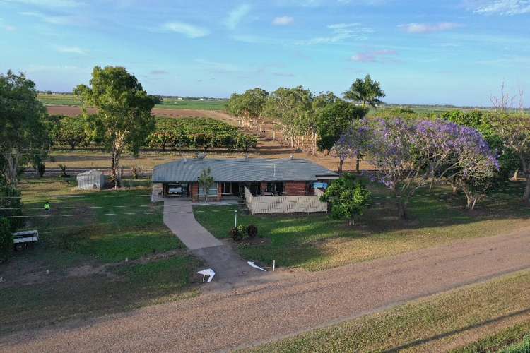 Third view of Homely house listing, 126 Giddy Road, Mcdesme QLD 4807