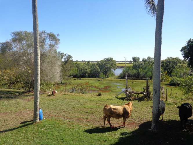 Seventh view of Homely ruralOther listing, 437 Walkers Point Road, Walkers Point QLD 4650