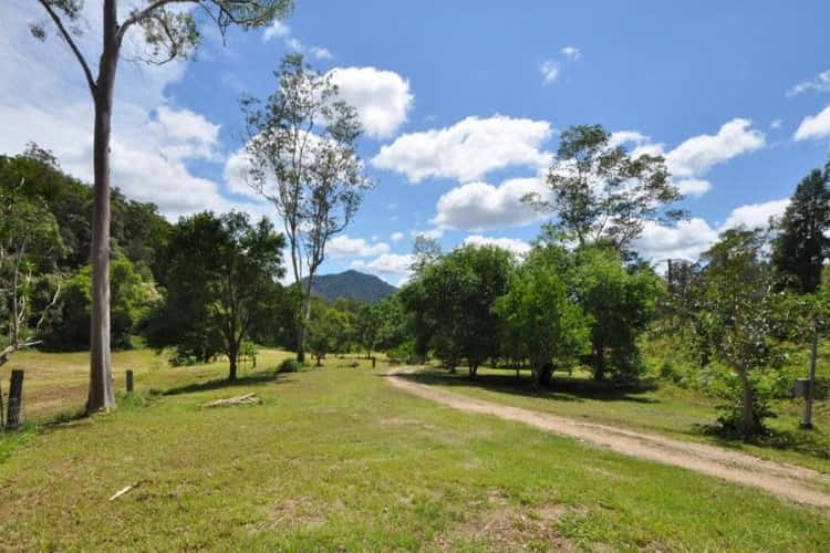 Third view of Homely ruralOther listing, 1721 North Arm Road, Argents Hill NSW 2449