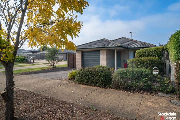 Main view of Homely house listing, 2/20 Banksia Crescent, Tyabb VIC 3913
