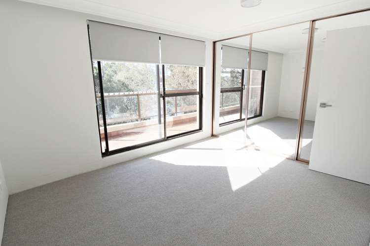 Second view of Homely unit listing, 17/16 Leichhardt Street, Glebe NSW 2037