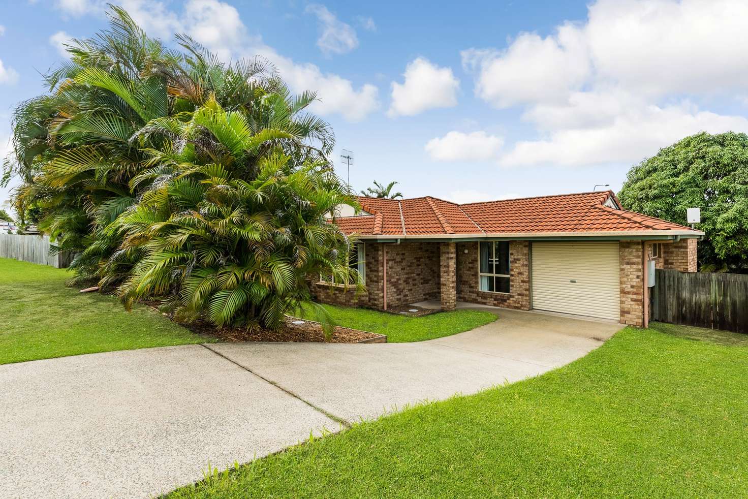 Main view of Homely house listing, 15 Clementine Place, Bli Bli QLD 4560