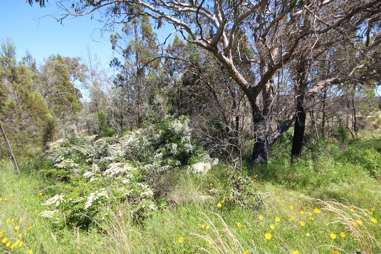 Main view of Homely residentialLand listing, Lot 3 Calvert Road, Glen Aplin QLD 4381