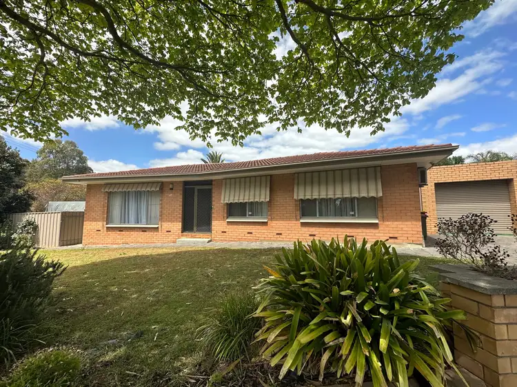 41 Beckman Ave
