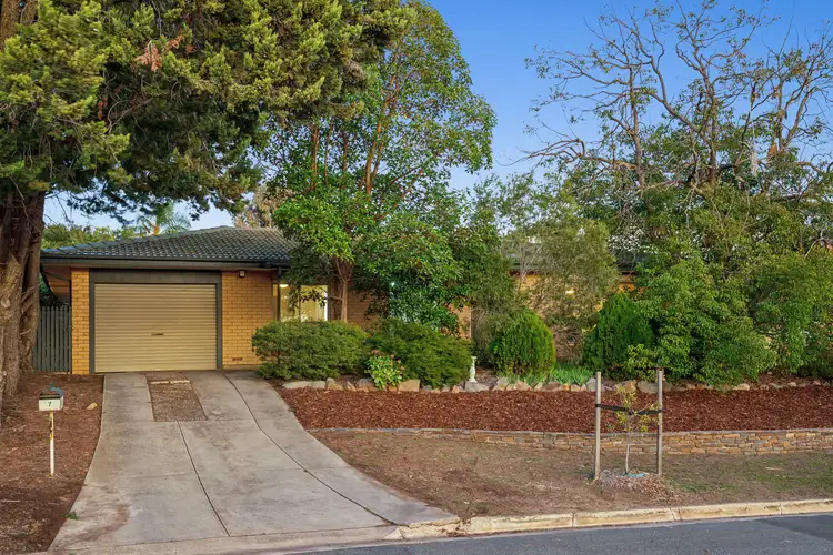 7 Farmer St