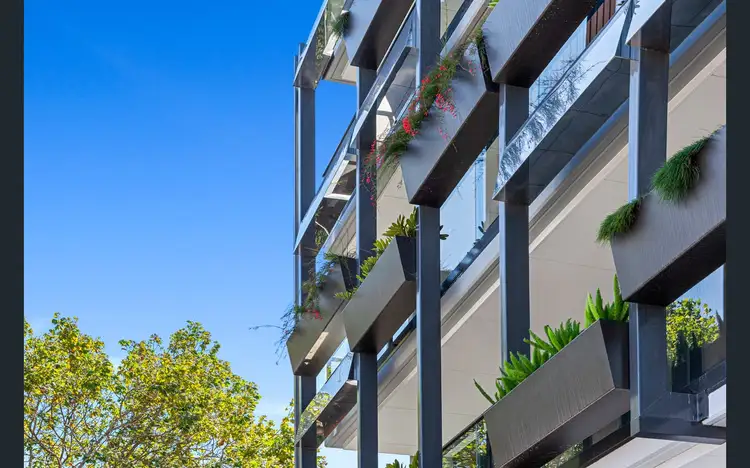 339 Toorak Rd