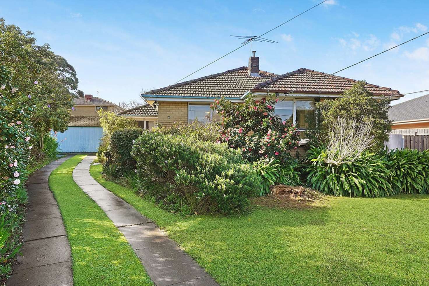 Main view of Homely house listing, 26 Pamay Road, Mount Waverley VIC 3149