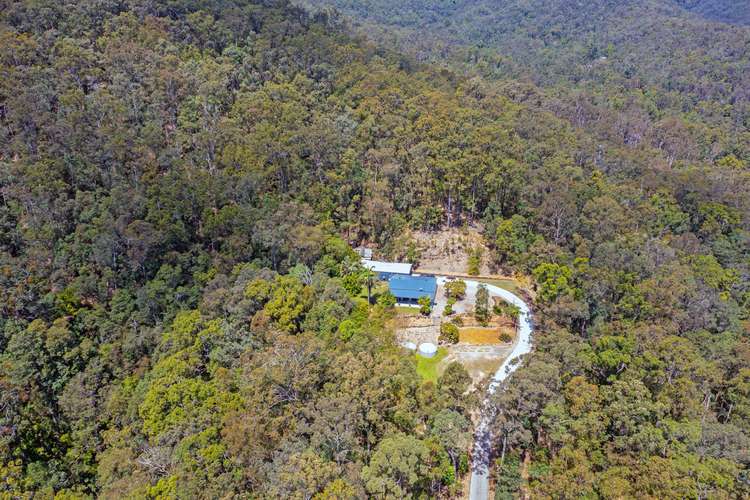 Main view of Homely acreageSemiRural listing, 7 KODA COURT, Bonogin QLD 4213