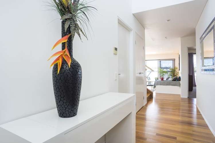 Main view of Homely townhouse listing, UNIT 24/181 LAE DRIVE, Coombabah QLD 4216