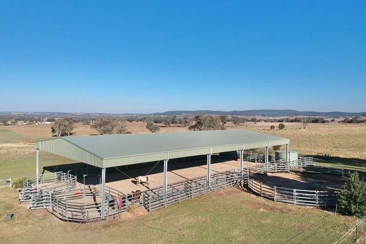 Third view of Homely lifestyle listing, 3374 MURRINGO ROAD, Young NSW 2594
