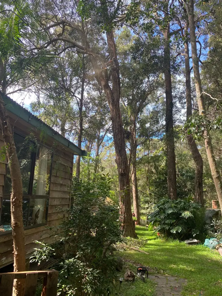 Seventh view of Homely rural property listing, 257 BINGIE ROAD, Meringo NSW 2537