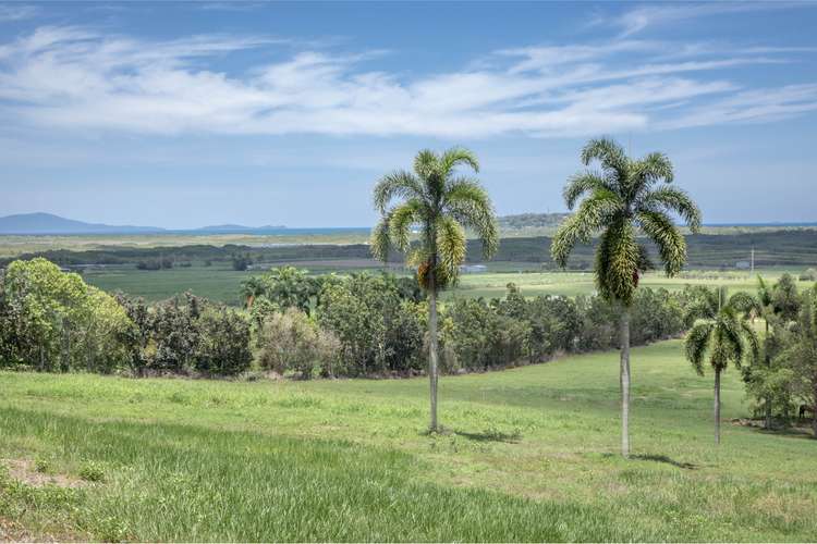 Fifth view of Homely mixedFarming listing, L5 Heritage Lane, Craiglie QLD 4877