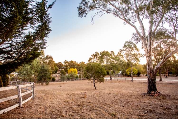 Fifth view of Homely house listing, 734 Pyrenees Hwy, Chewton VIC 3451