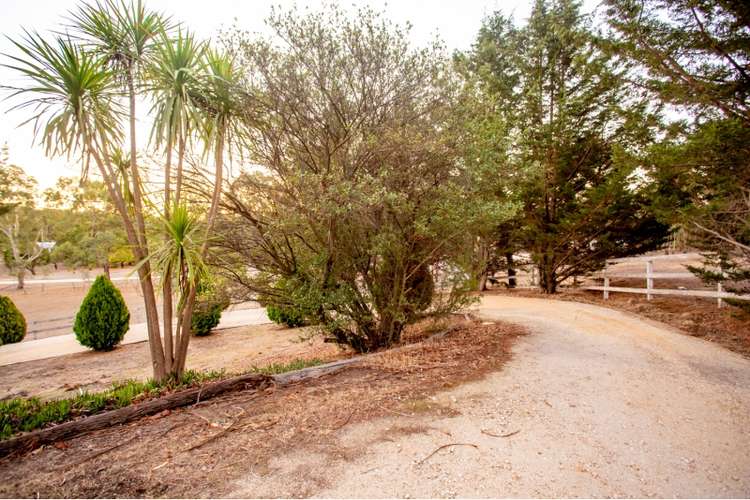 Sixth view of Homely house listing, 734 Pyrenees Hwy, Chewton VIC 3451