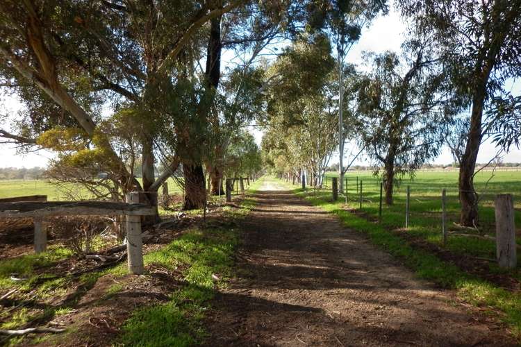 Fifth view of Homely ruralOther listing, 17 Phillip Road, Nathalia VIC 3638