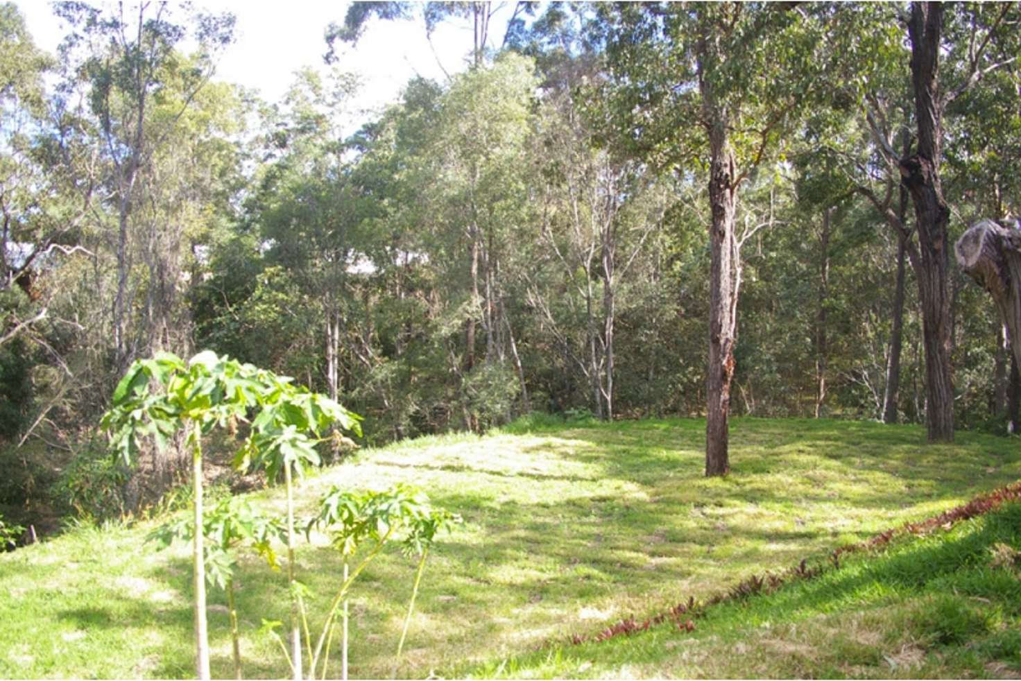 Main view of Homely apartment listing, 11 Sherborne Place, Chapel Hill QLD 4069