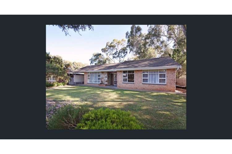 Main view of Homely house listing, 17 Binnswood Street, Hectorville SA 5073