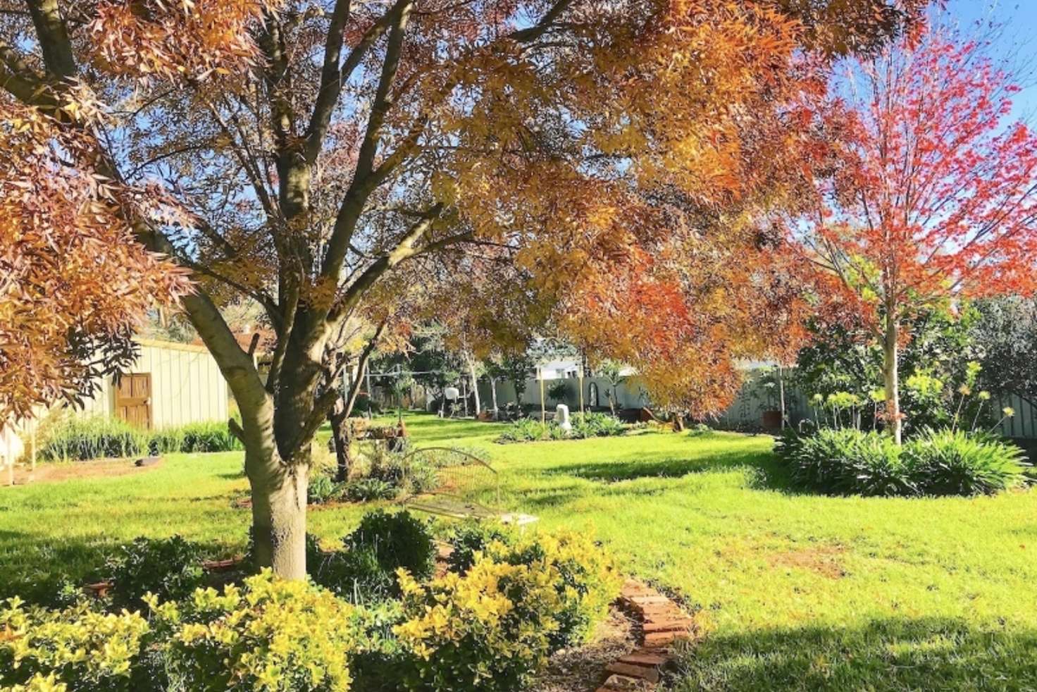 Main view of Homely house listing, 18 Smith Street, Forest Hill NSW 2651