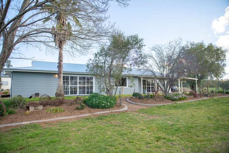 Second view of Homely ruralOther listing, 3779 Murringo Road, Young NSW 2594