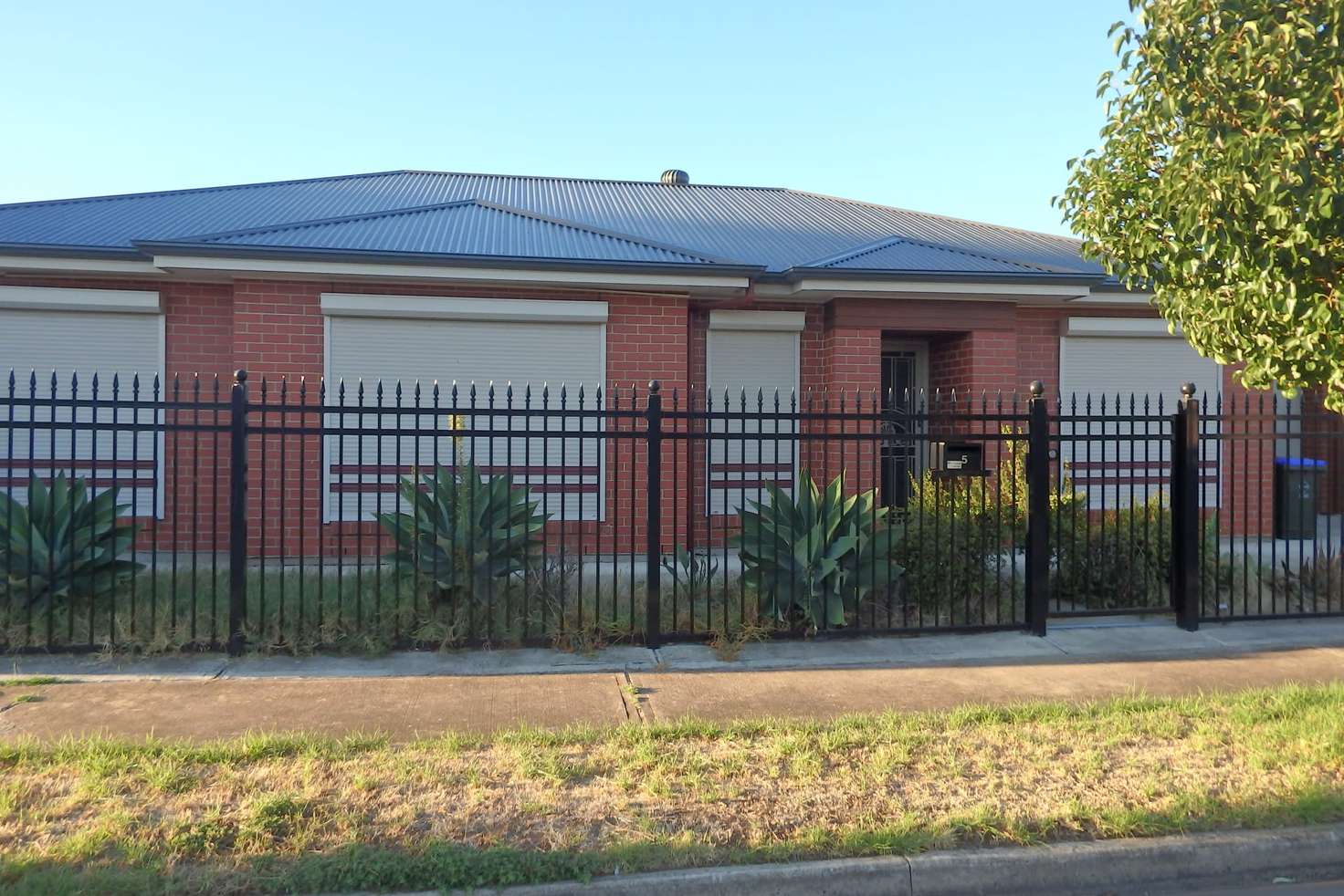 Main view of Homely house listing, 5 Nesbit Street, Albert Park SA 5014