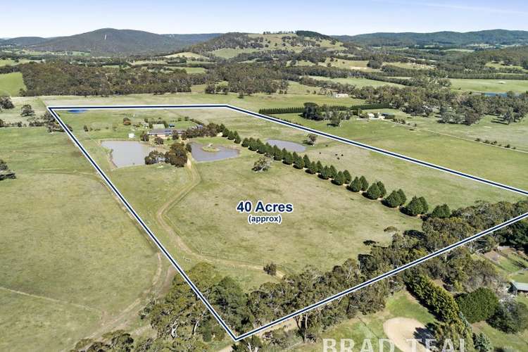Second view of Homely house listing, 401 Black Range Road, Romsey VIC 3434