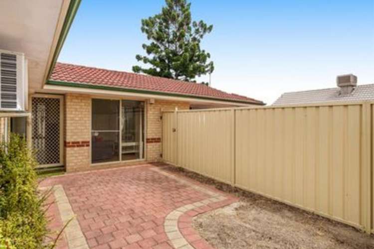 Main view of Homely unit listing, 3/1189 Albany Highway, Bentley WA 6102