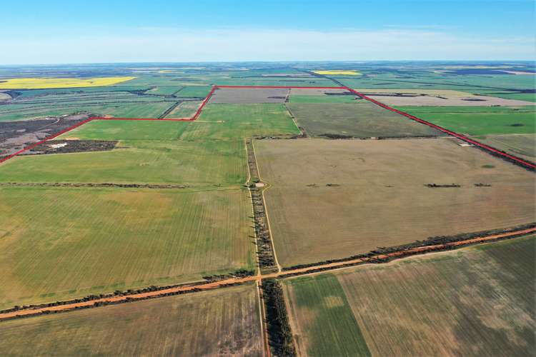Fourth view of Homely farmlet listing, 3904 Hyden - Mount Walker Road, Woolocutty WA 6369