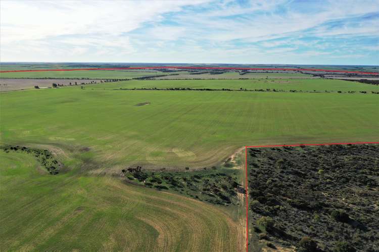 Fifth view of Homely farmlet listing, 3904 Hyden - Mount Walker Road, Woolocutty WA 6369
