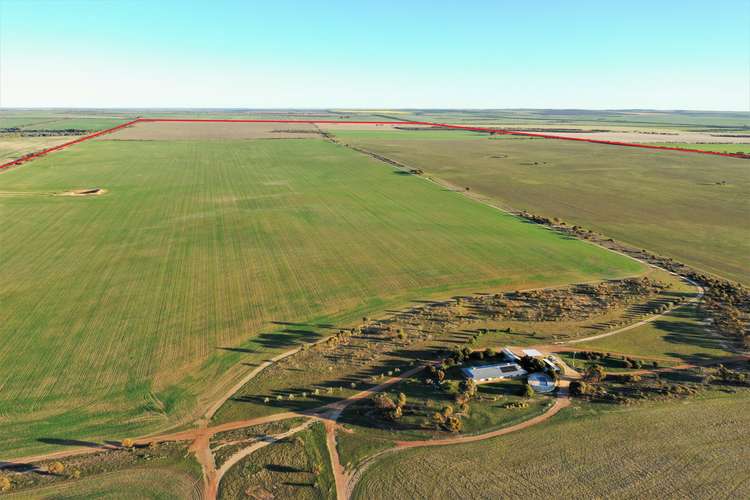 Sixth view of Homely farmlet listing, 3904 Hyden - Mount Walker Road, Woolocutty WA 6369