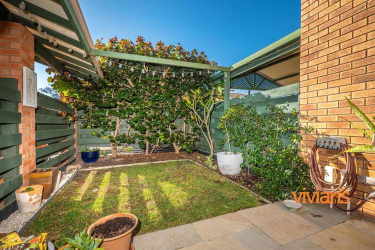 Main view of Homely townhouse listing, 7/716 Stirling Highway, Mosman Park WA 6012
