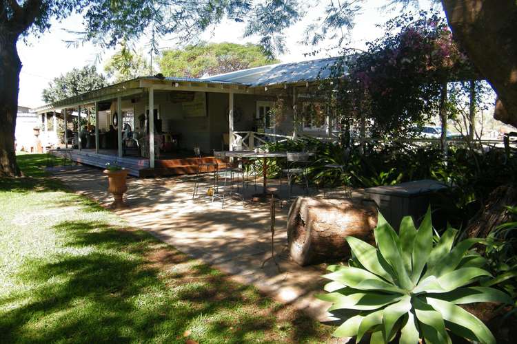 Sixth view of Homely horticulture listing, 99 North River Road, Carnarvon WA 6701