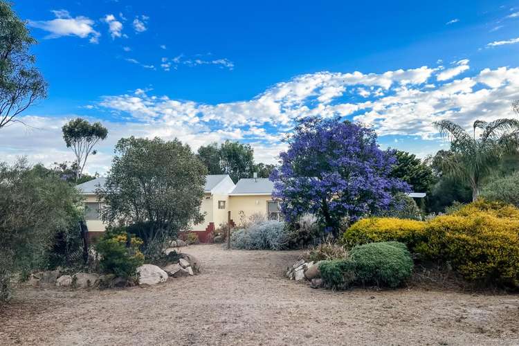 Main view of Homely house listing, 24 Curlew  Street, Katanning WA 6317